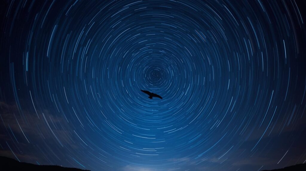 北極星を中心に星が円を描いて回転し、その中を一羽の鳥が飛ぶ。夜空の星を頼りに航路を見出す「星空コンパス」の概念を表現。