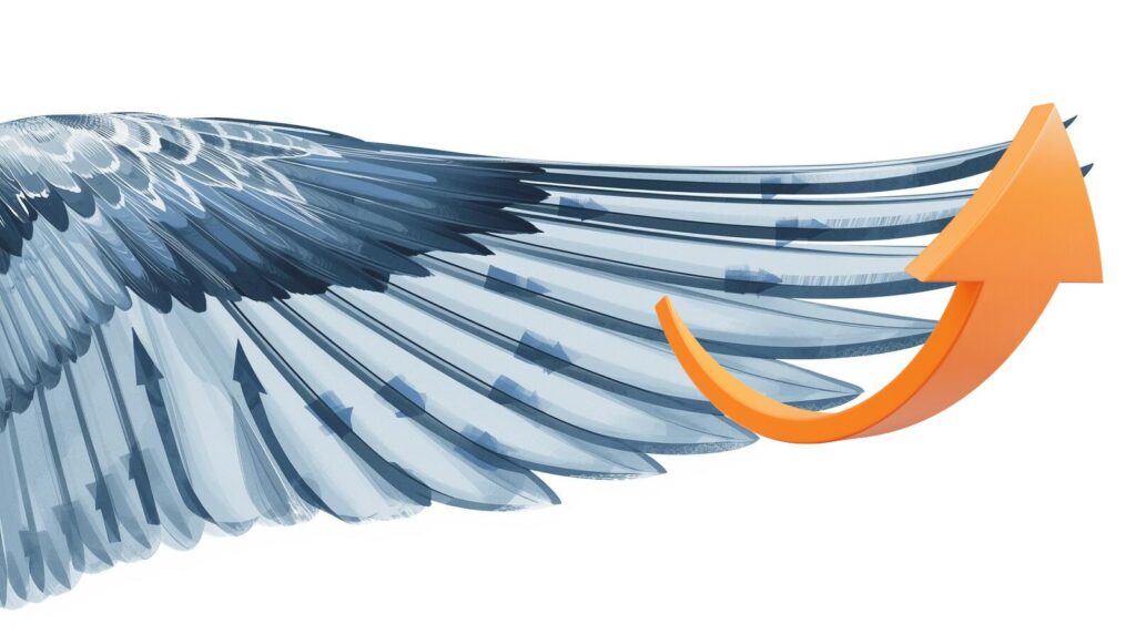 鳥の翼端に生まれる渦と上昇気流を示す図。翼の先端で空気が巻き上がる様子を矢印で可視化。