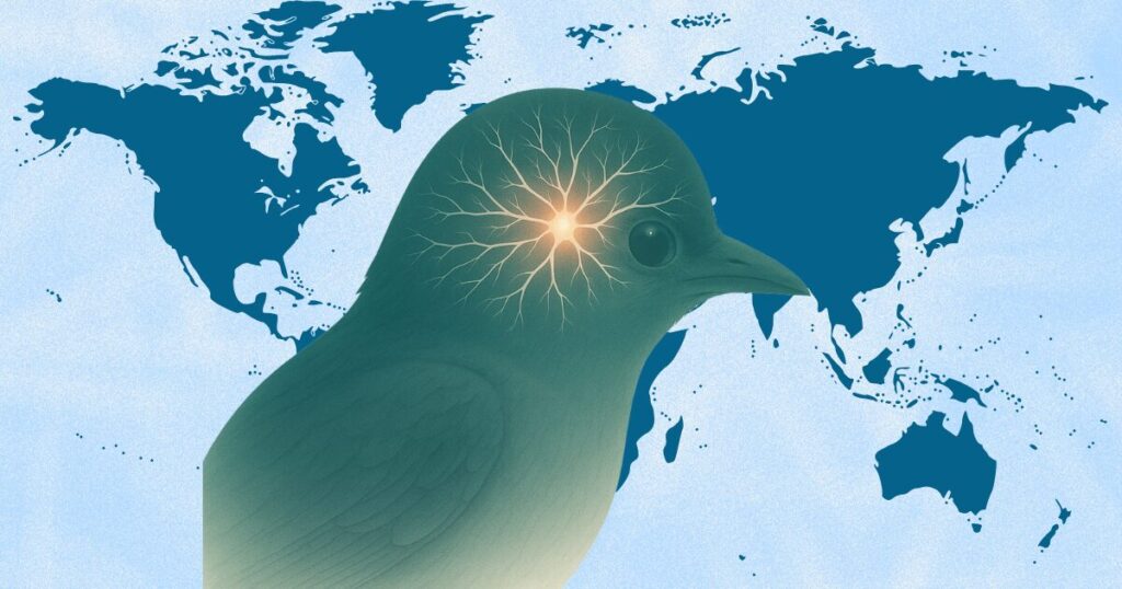 世界地図を背景に、鳥の頭の中で光る神経ネットワークが描かれたイラスト。 渡り鳥の脳に備わる「認知地図」と「方位細胞」の仕組みを象徴している。