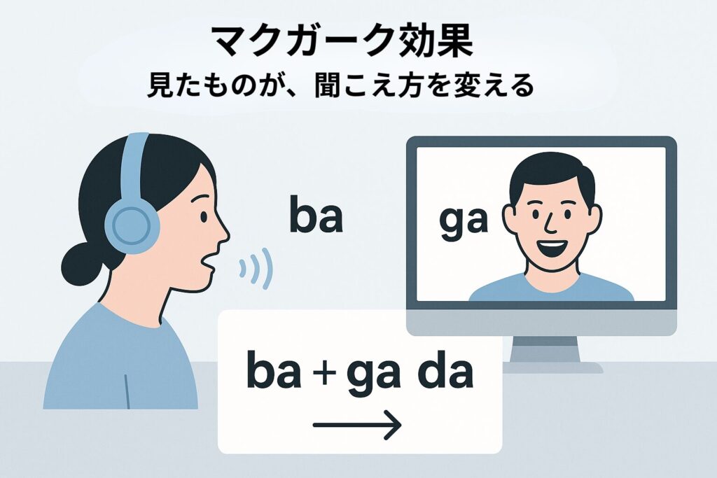 マクガーク効果の仕組みを説明する図。耳で聞く音と、目で見る口の動きが食い違うと、脳が別の音を作り出す。